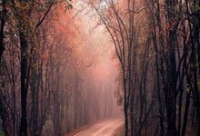 南宫NG28官网：热身赛天津津门虎4-1大连英博，比赛共分为三节进行.