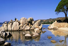 南宫NG28官网：郑钦文带伤作战0-2不敌玛雅，无缘WTA珠海赛冠军澎湃新闻.